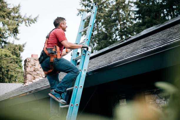 Best Roof Moss and Algae Removal  in Andrews, TX